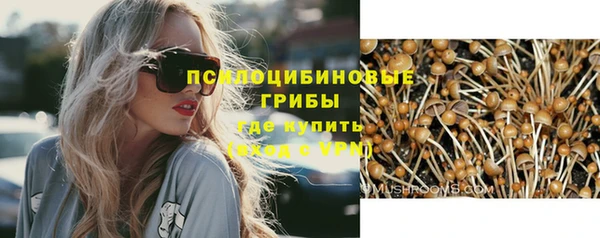 гидра Беломорск