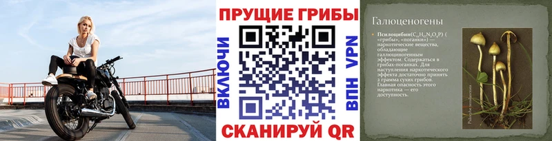 купить наркотик Наволоки Псилоцибиновые грибы мицелий